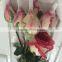 Freshly cut roses fresh cut pink/red/blue/green rose fresh flowers best price