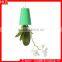 Sky Planter Upside Down Indoor Plant Pot