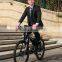 Factory Direct Cheap 26inch Fat Tire 36V 250W Electric Bicycle, Aluminum Alloy Fat Electric Bike, Electro Pedal Bike For Sale