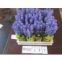 lavender paper flower
