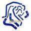 Silicone Radiator Hose