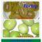 New Fresh Canned Kiwi Fruit in Best Price