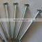 Electro Galvanized Concrete Nails/Steel Nails