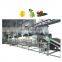 Wholesale food processing equipment belt dryer machine made in china