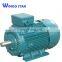 Chinese Motor Manufacturer MS Three Phase Electric Motor