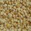 Frozen sweet corn