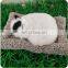 Bamboo charcoal adsorption dog Environmental protection Simulation toy dog Electronic pet plush animals robot dog