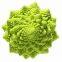 F1 Hybrid Beautiful Green Cauliflower Seeds /Broccoli seeds