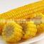 Industrial Continuous  Steam Vegetable Fruit blanching Machine