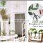 Plant Terrarium with Wooden Stand, Desktop Glass Planter Bulb Vase Bulb Plant Terrarium with Retro Solid Wooden Stand