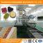 Professional automatic vibrating fluid bed bean drying machine beans soybean dryer good price for sale