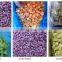 Sinocharm frozen vegetable health and hygiene IQF Purple Potato DicesFrozen Purple Potato Dices