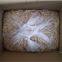 Bulk Organic Dehydrated Galric Slices For Food Production