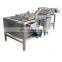 Vegetable Mango Dates Bubble Washing Machine Fruit And Vegetable Cleaning Machine for sale