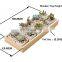 Factory Planter Vase Set Luxury 10 Pcs Small Pots Flower Pot Golden Wood Tray Felt Ceramic Home Used with Flower/green Plant 30
