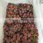 Fresh Grapes Price