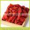 organic gojiberry fron our company-owned organic gojiberry farm