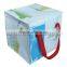 Fashion design cooler bag for frozen food