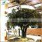 Fake Large Decorative Indoor Artificial Apple Tree for Sale