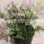 Cheap Fake Plastic Potted Artificial Flowers in Lavender for Sale