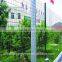 Holland wire mesh PVC coated welded wire mesh in rolls