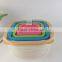 A good quality family design set of 5 Plastic Salad bowl set with lid