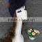 Women hot sale Fashion Knit Headband With Real Raccoon Fur Pompom
