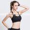 2016 New arrival ladies transparent Black & mesh gym yoga & sports wear bra