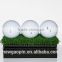 Factory custom box packaged 2 piece Tournament Golf Ball