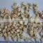 supply Frozen dried mushroom dices with good quality for sale