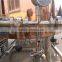 300L Industrial Beer Fermentation Equipment/Mini Brewery Equipment