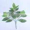 artificial magnolia leaf
