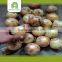 Wholesale Fresh Yellow Onion With Good Quality