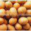 IOPEPC Certification and Raw Processing Type Ground nut