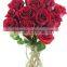 Natural Rose Flower
