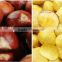 30-40 40-60 2015 hot sell sweet fresh chestnuts