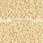 White Hulled Sesame Seeds Exporters