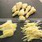 FC-502 Hot Sale Potato Chips French Fry Machine