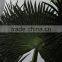 hot sale 1.6 meter coconut trees leaves, artificial coconut trees leaves