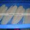 pangasius fillet