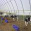 Livestock Shelter , Cattle Shed , Goat Shelter ,CAR SHELTER , STORAGE TENT