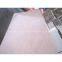 various plywood/furniture plywood/packing plywood/construction plywood