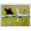 Barbed Wire(factory)