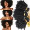 Straight Wave 16 Inches Brazilian Curly Human Hair Russian  Brazilian Tangle Free Natural Black