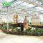 2017 Agricultural Hydroponics Greenhouse For Tourism