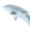 Pet Dolphin Toy Cat Interactive Teasing Cat Entertaining Toy Teeth Grinding Cleaning Pet Supplies