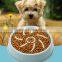 Non-skip Base Pet Bowl Feeder Dogs Cats Anti-choking Bowl Neck Protection