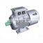 y2 series three phase oil immersed electric motor