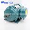 AC gost electric motor