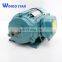 AC Gost Electric Motor